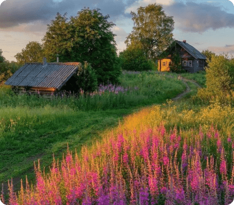 рисунок поля и домов среди цветов для срисовки