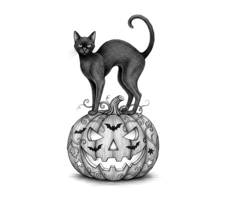 Black cat on a pumpkin pencil drawing to copy