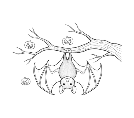 Bat hanging from a branch pencil drawing to copy