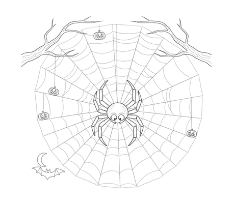 Spider on a web pencil drawing to copy