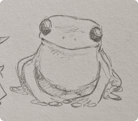 рисунок лягушки карандашом для срисовки