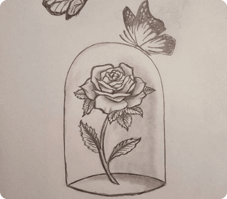 рисунок карандашом розы с бабочкой для срисовки