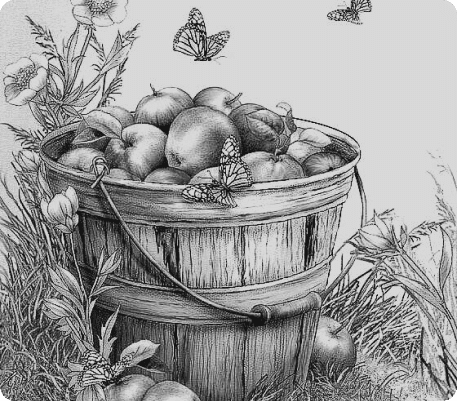 рисунок карандашом яблок в ведерке с бабочкой для срисовки