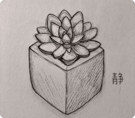 рисунок цветочка в горшке карандашом для срисовки